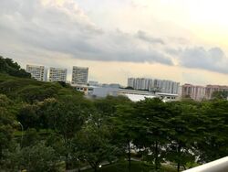 Blk 174 Boon Lay Green (Jurong West), HDB 3 Rooms #450281621